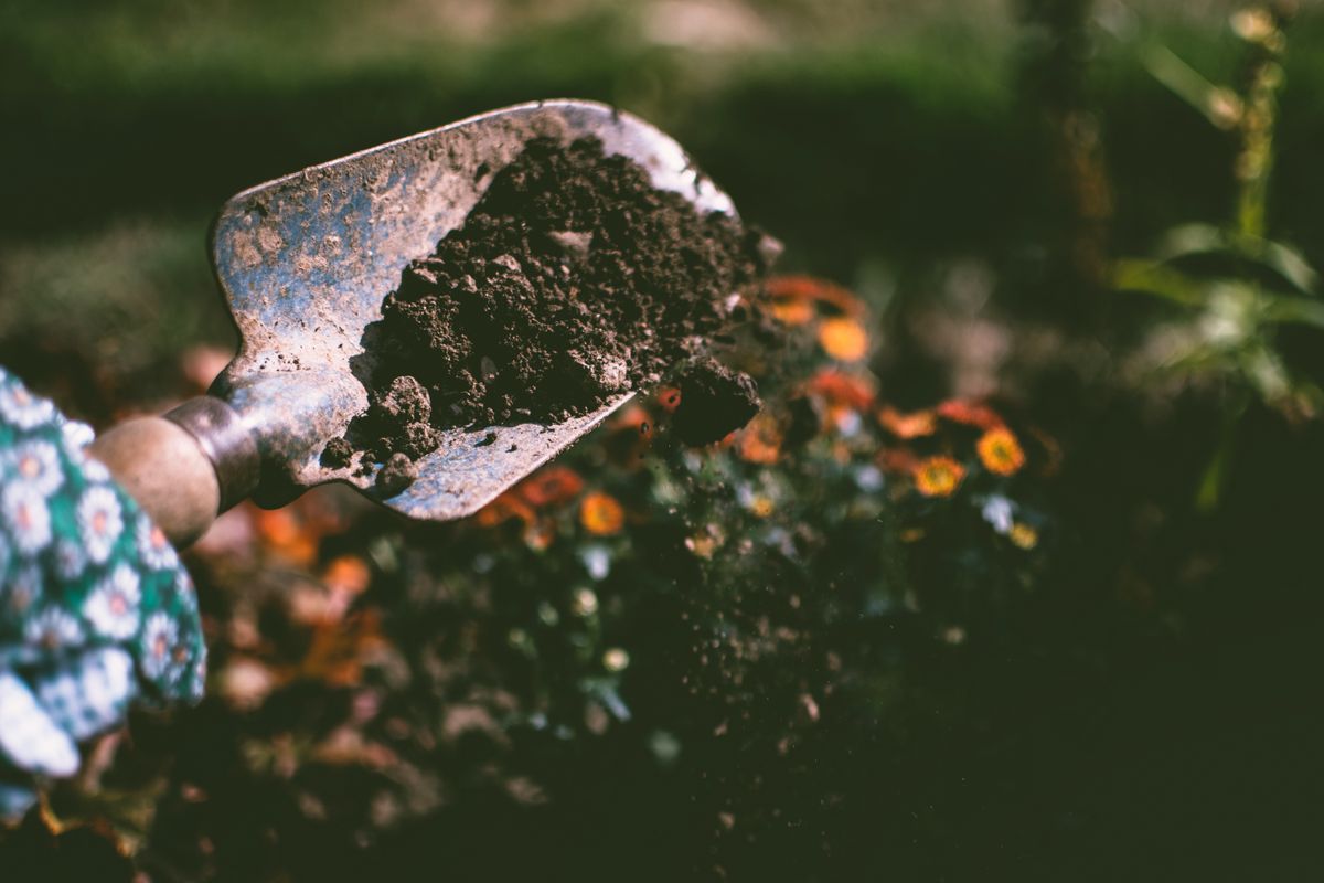 Hands planting seasonal flowers into a fresh bed