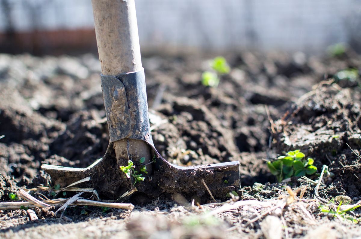 A shovel breaking ground during a work day